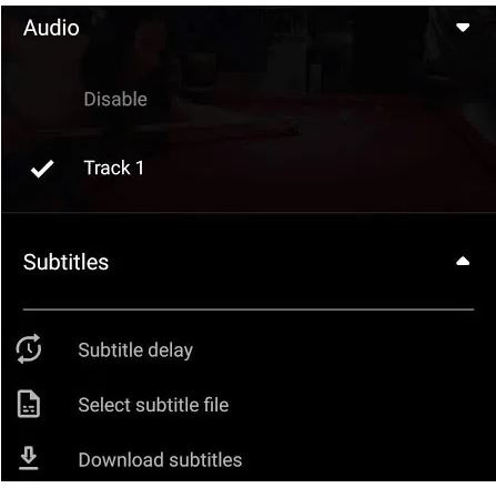 Downloading Subtitles Automatically